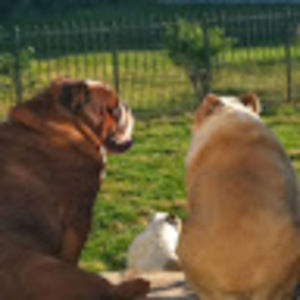 Meet your Posher, A.d.